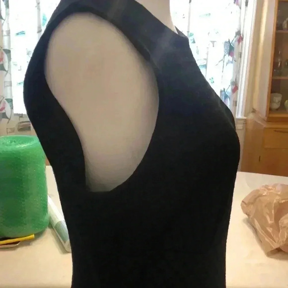 Banana Republic sleeveless poly/rayon/spandex back zipper dress. - Picture 4 of 10